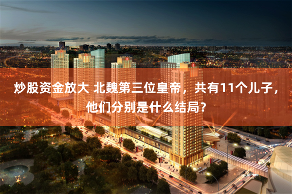 炒股资金放大 北魏第三位皇帝，共有11个儿子，他们分别是什么结局？