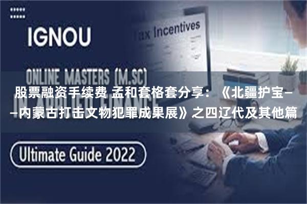股票融资手续费 孟和套格套分享：《北疆护宝——内蒙古打击文物犯罪成果展》之四辽代及其他篇