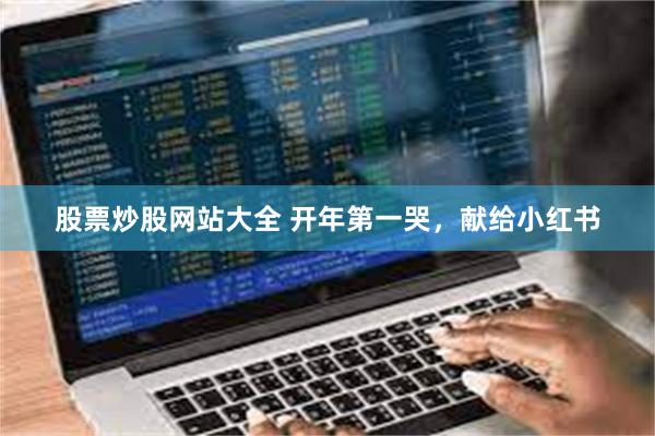 股票炒股网站大全 开年第一哭，献给小红书