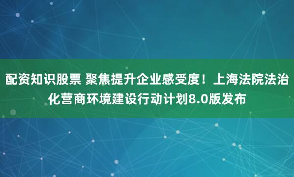 配资知识股票 聚焦提升企业感受度！上海法院法治化营商环境建设行动计划8.0版发布