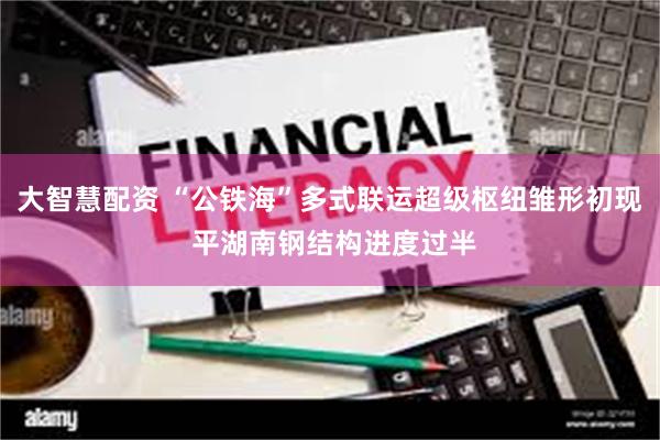 大智慧配资 “公铁海”多式联运超级枢纽雏形初现 平湖南钢结构进度过半