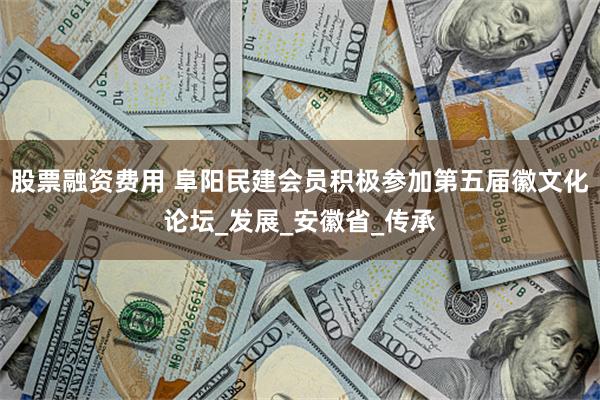 股票融资费用 阜阳民建会员积极参加第五届徽文化论坛_发展_安徽省_传承