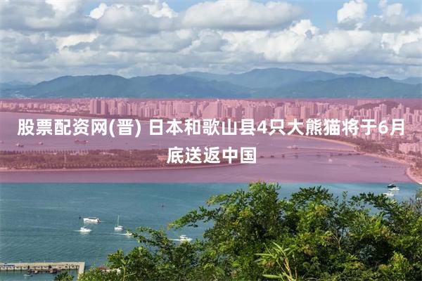 股票配资网(晋) 日本和歌山县4只大熊猫将于6月底送返中国