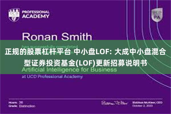 正规的股票杠杆平台 中小盘LOF: 大成中小盘混合型证券投资基金(LOF)更新招募说明书