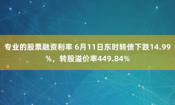 专业的股票融资利率 6月11日东时转债下跌14.99%，转股溢价率449.84%