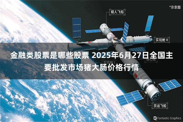 金融类股票是哪些股票 2025年6月27日全国主要批发市场猪大肠价格行情